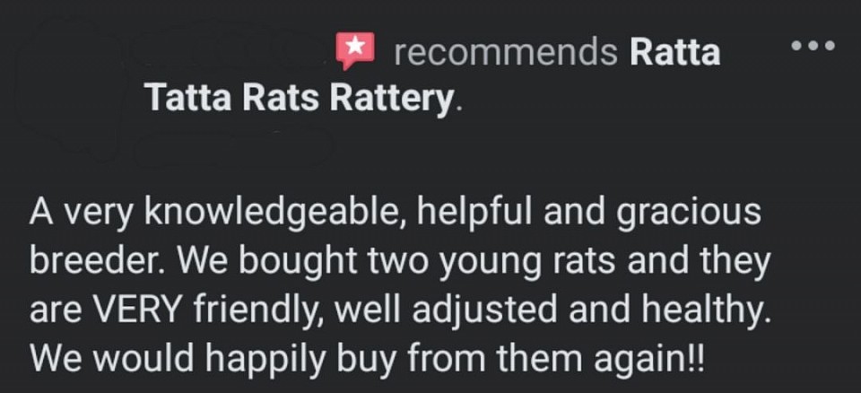 RTR Rattery